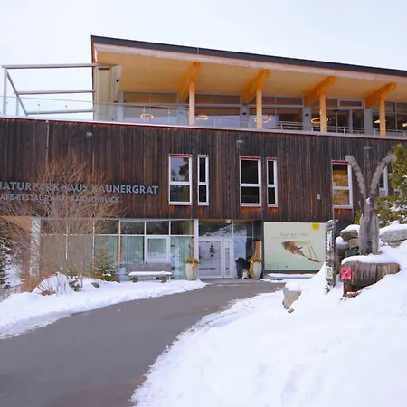 Appartamento Jenewein By Interhome