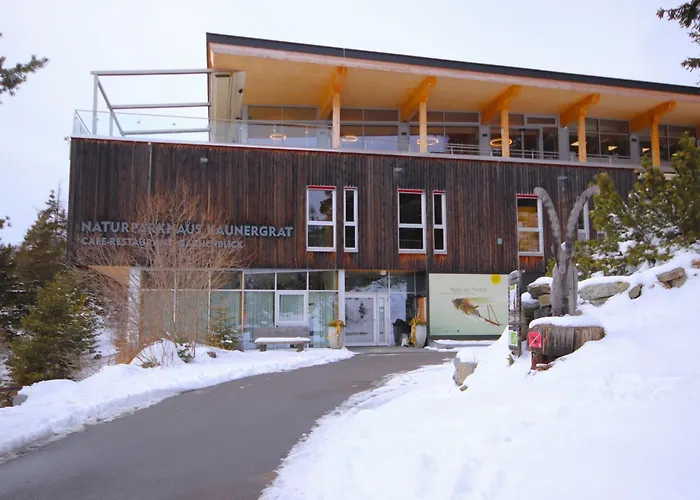 Appartamento Jenewein By Interhome